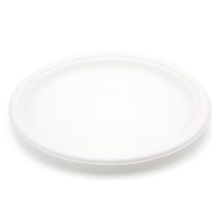 9 inch white bagasse plate